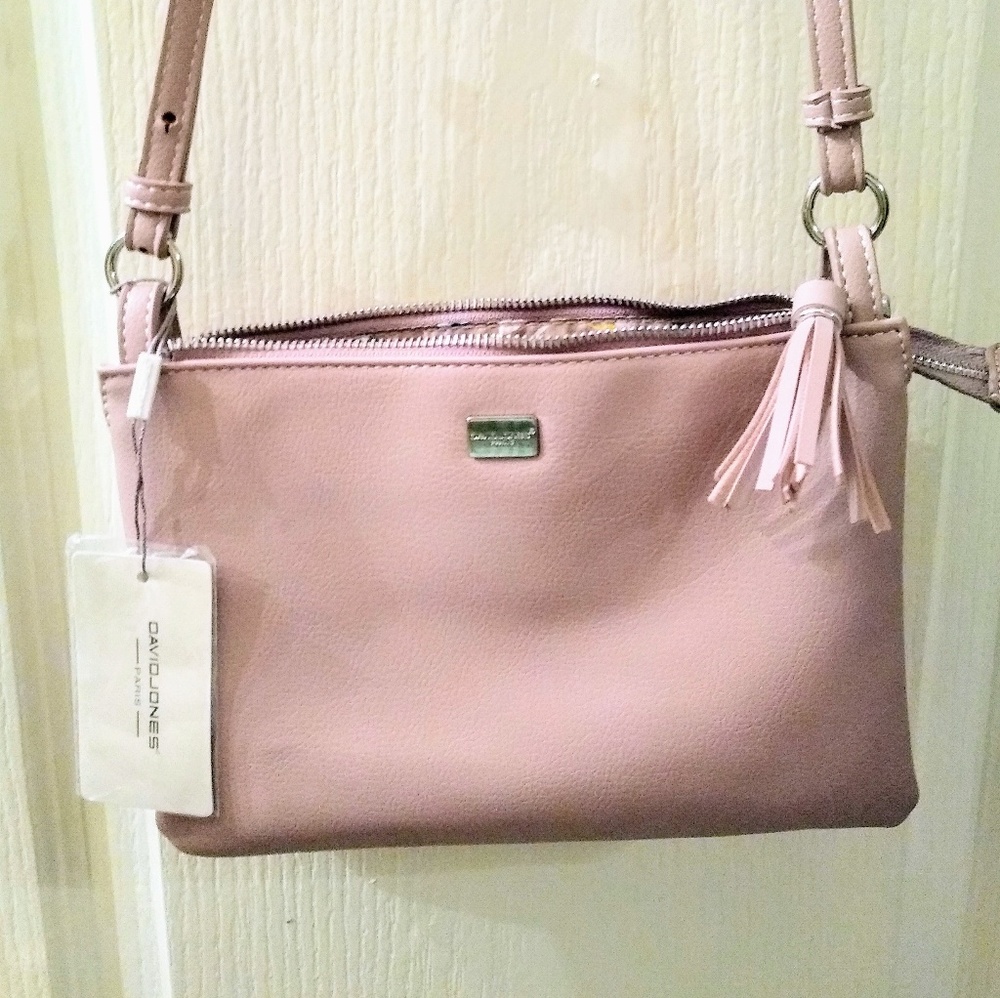 David Jones purse